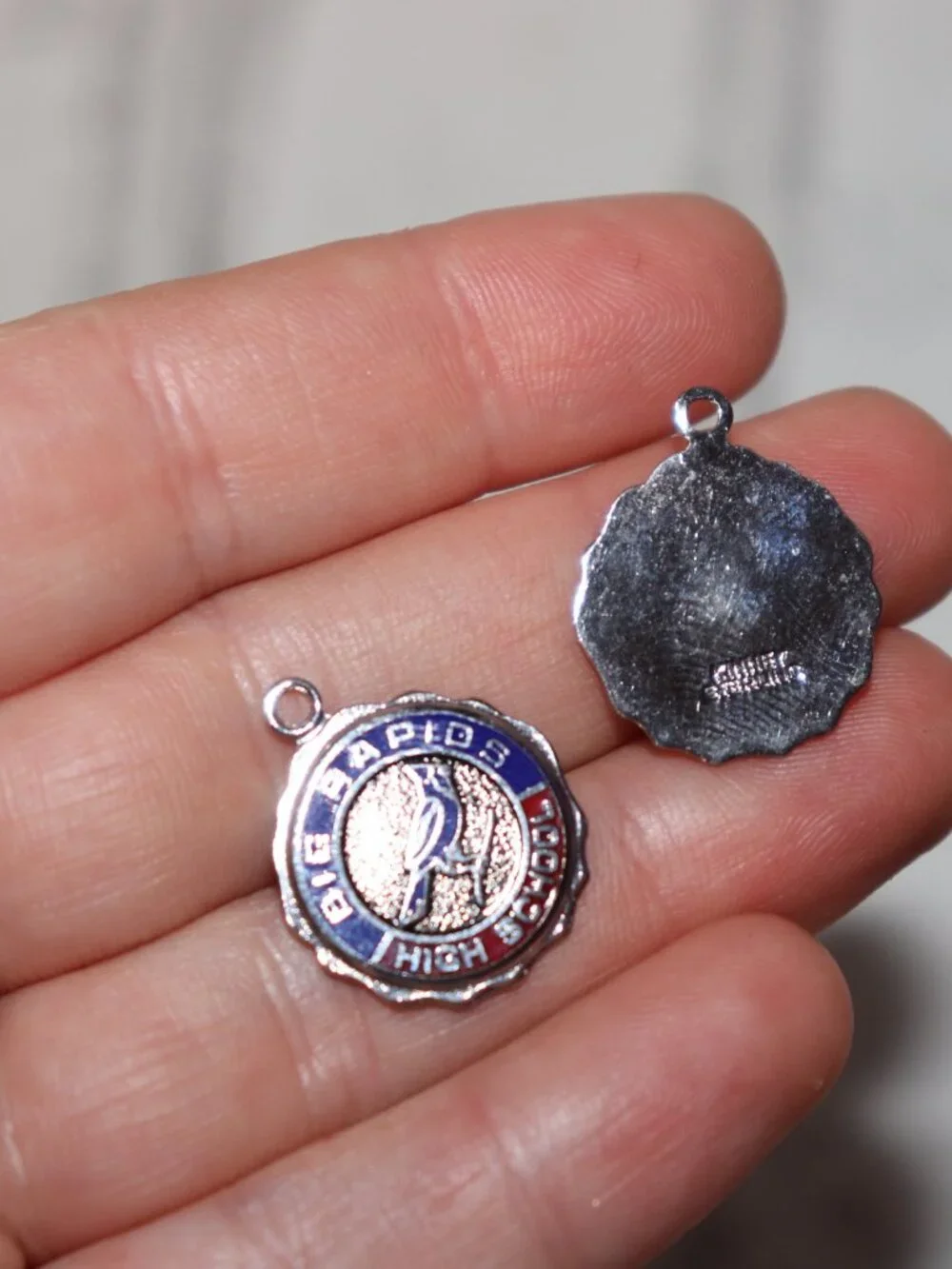 🐦 Vintage Big Rapids High School Charms · Kinney Sterling · Set of 5 · 18g
